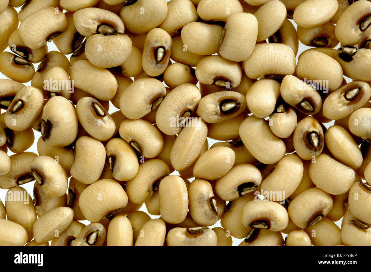 Beans and Pulses Stock Photo Alamy