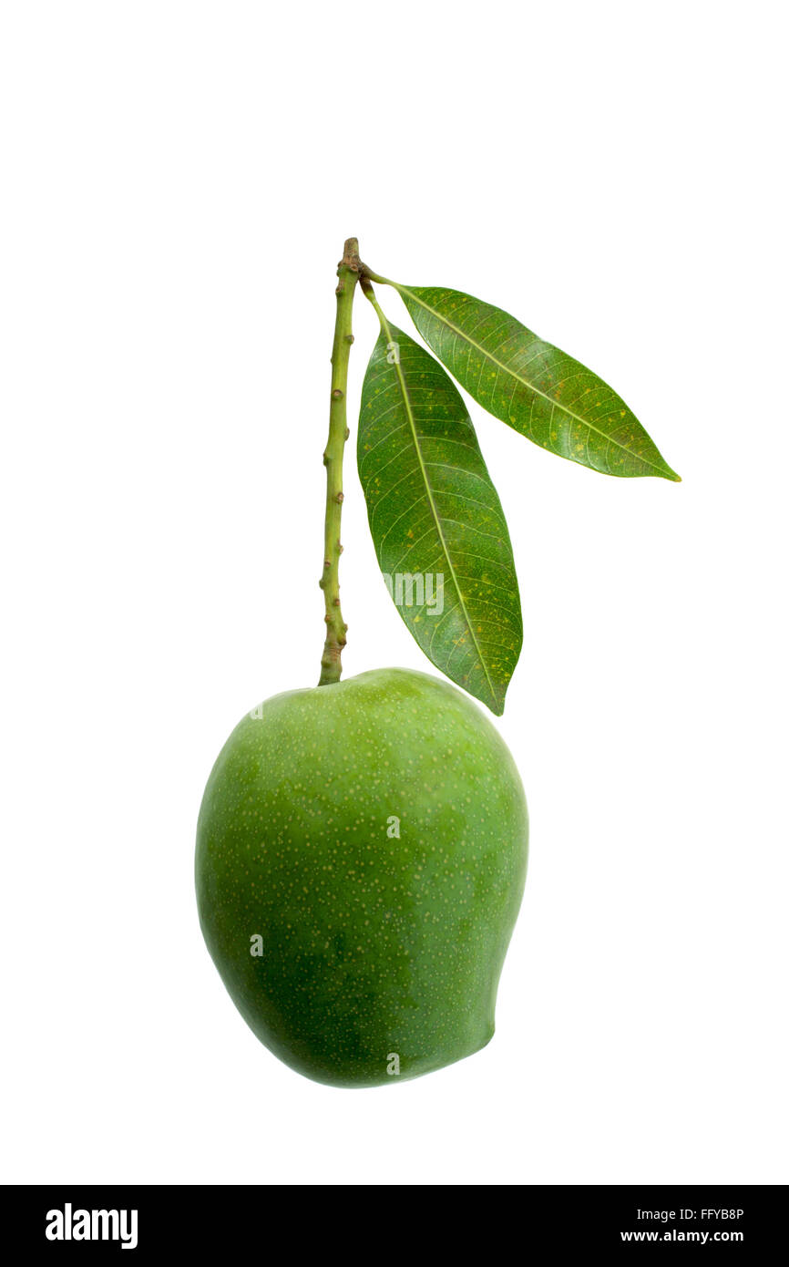 Green mango color hires stock photography and images Alamy