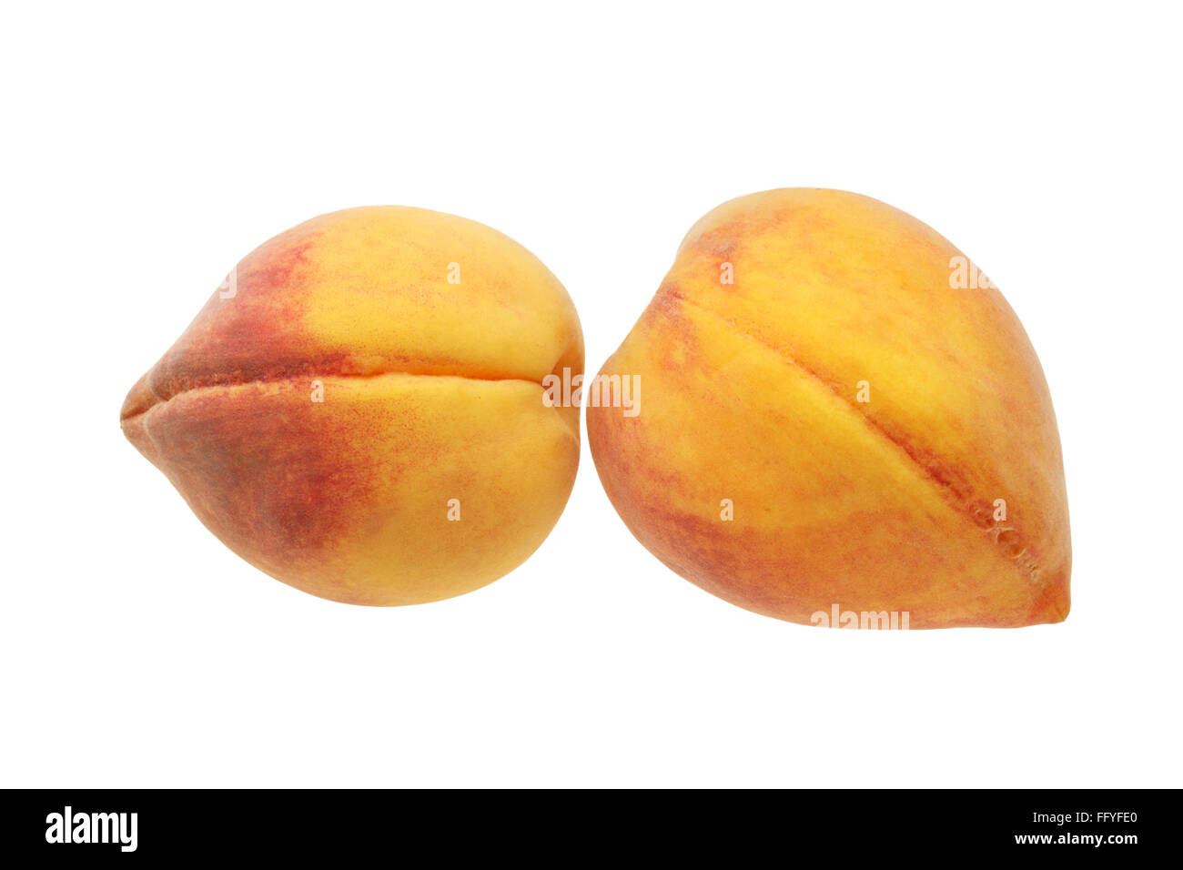 Pair of gold red peach prunus persica ; India Stock Photo