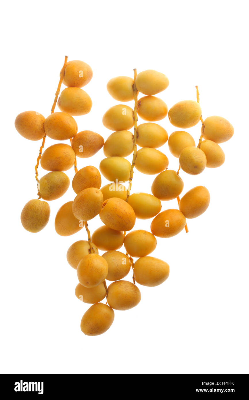 Bunch of yellow dates phoenix dactylifera ; India Stock Photo