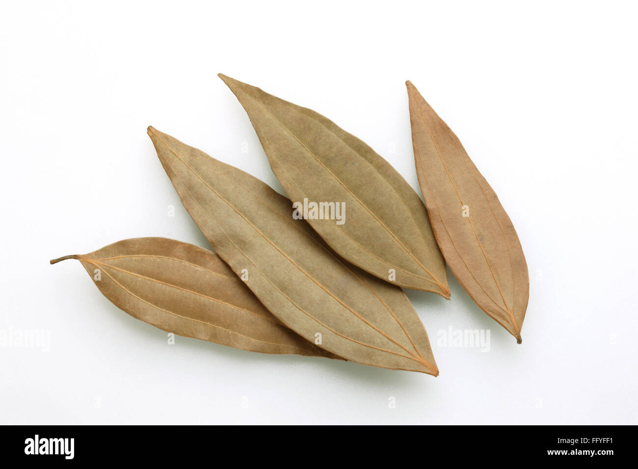 Malabathrum hires stock photography and images Alamy