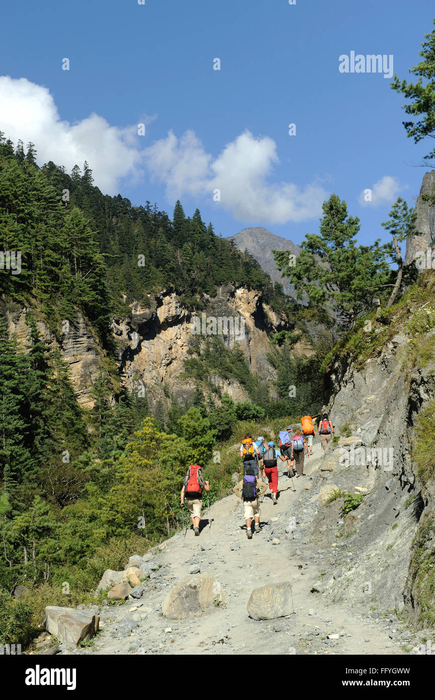 Trekkers ; Chame ; Nepal Stock Photo