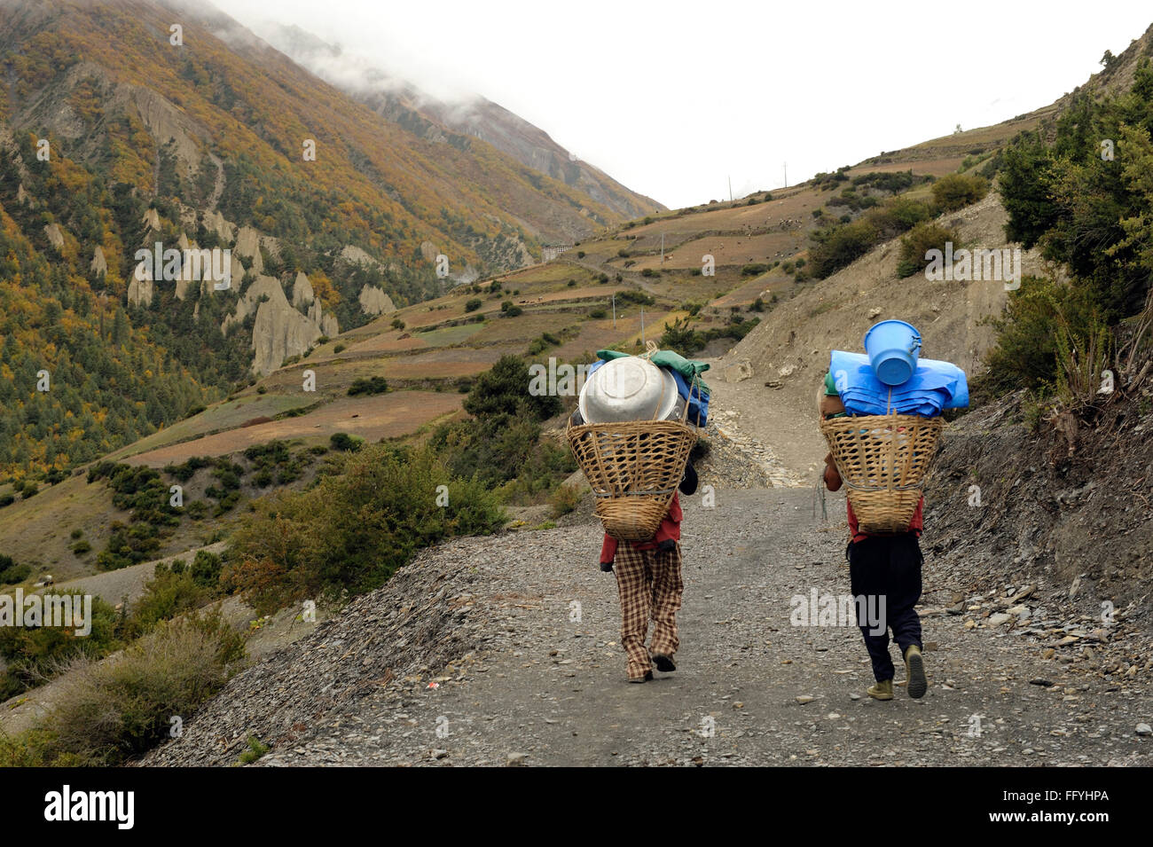 Porter carrying load ; Khangsar ; Manang ; Nepal Stock Photo