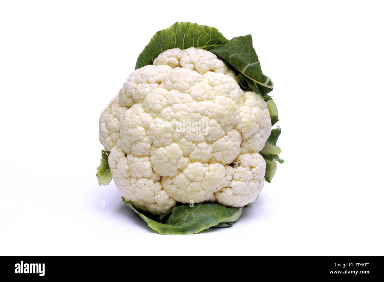 Cauliflower Vegetable India Stock Photo