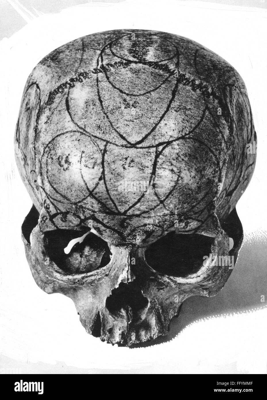 medicine, anatomy, cerebric / cranium, skull with 27 individual centers of the brain according to Franz Joseph Gall (1758 - 1828), 20th century, 20th century, head, heads, phrenology, thinking, think, character, characters, character trait, trait, traits, ability, abilities, intelligence, psyche, personality, personalities, pseudoscience, centre, center, centres, centers, skull, skulls, clipping, cut out, cut-out, cut-outs, medicine, medicines, individual, individuals, historic, historical, people, Additional-Rights-Clearences-Not Available Stock Photo