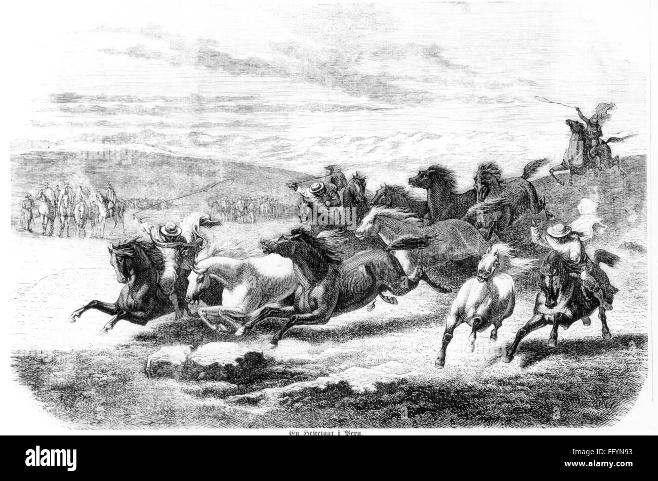 hunting, wild horses, hunt for wild horses in Peru, wood engraving, circa 1870, Additional-Rights-Clearences-Not Available Stock Photo