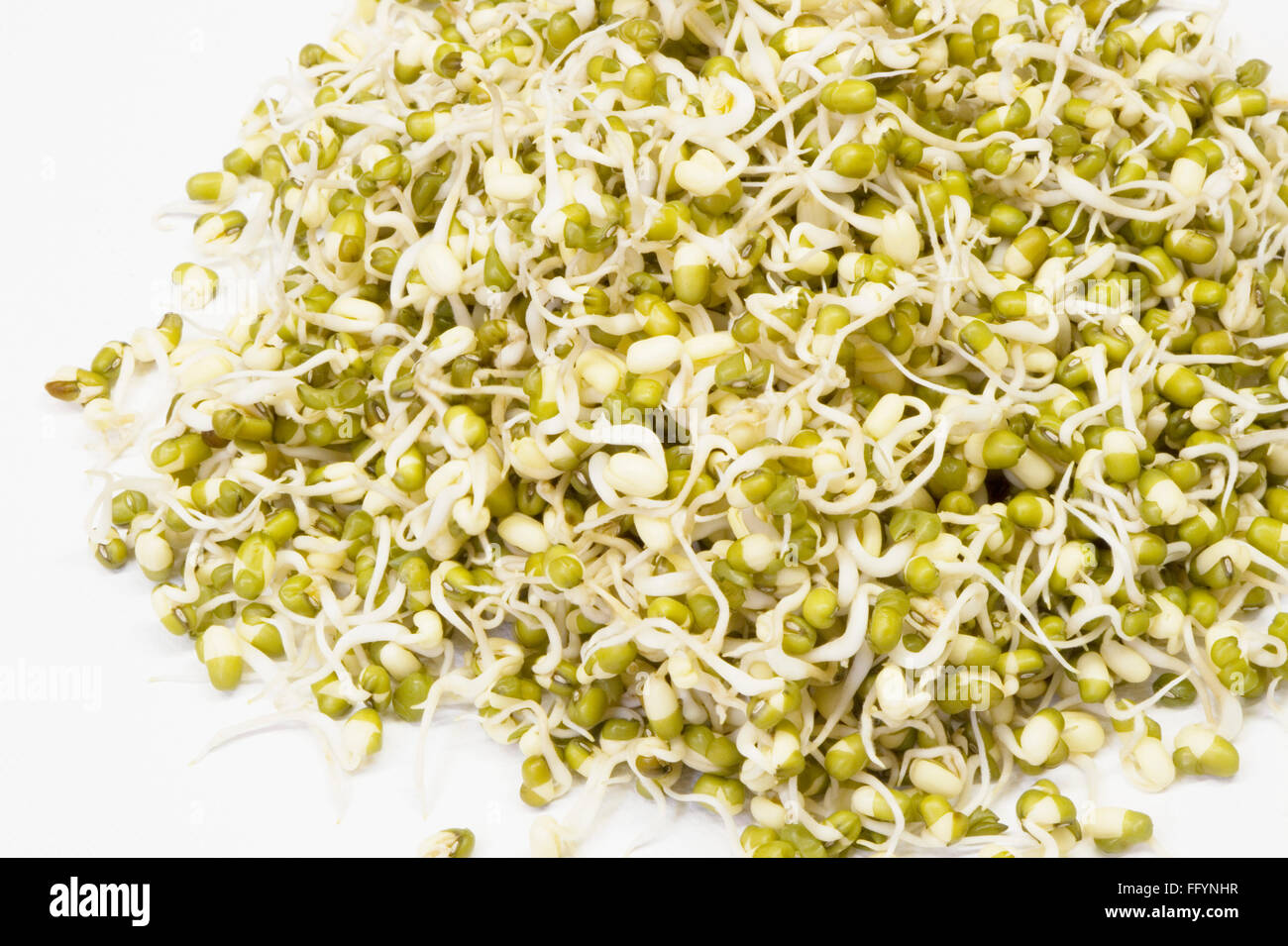 Grain , sprouted green gram mung on white background Stock Photo