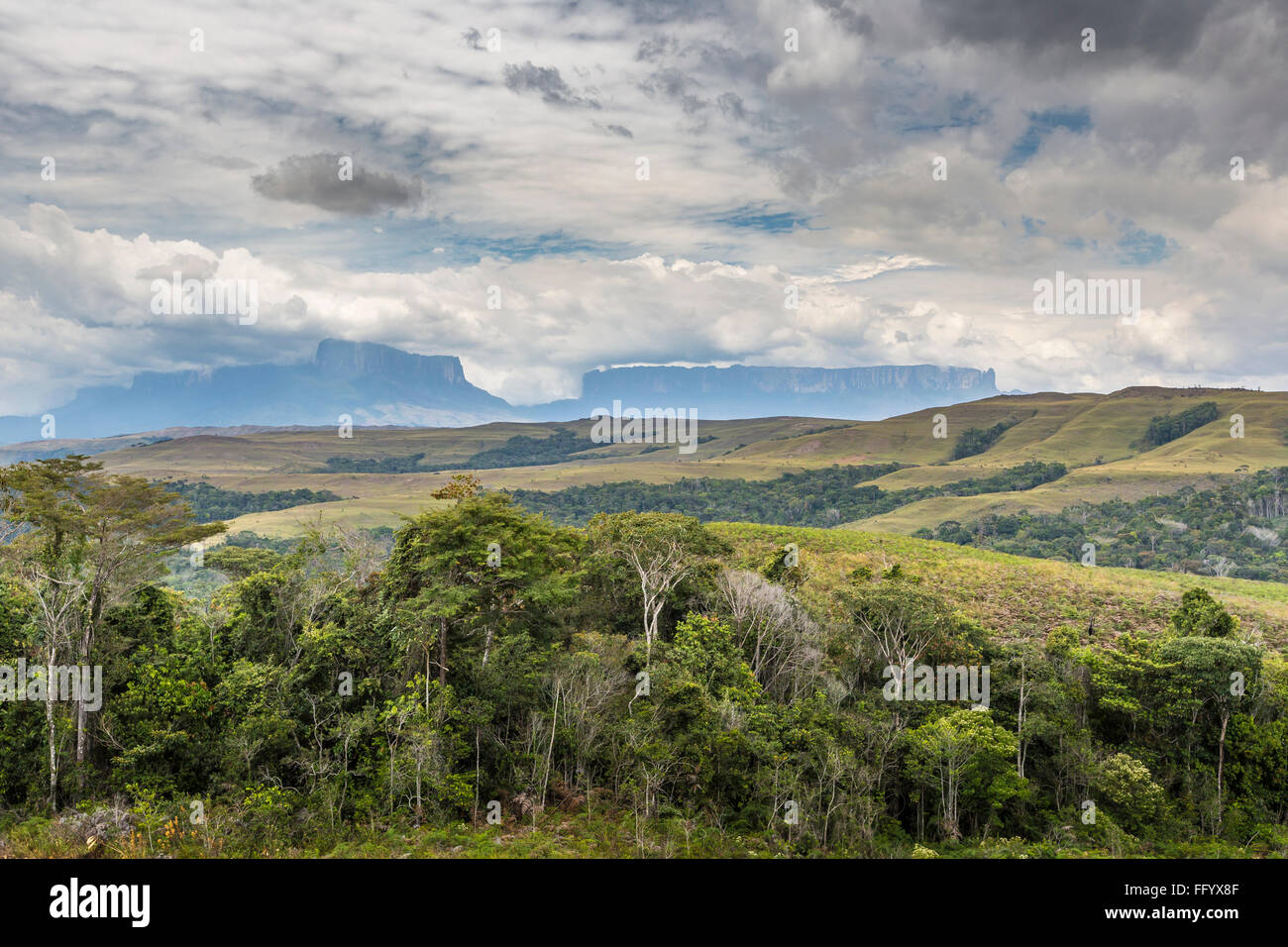 Beautiful landscape characteristic for the Gran Sabana - Venezuela, Latin America Stock Photo