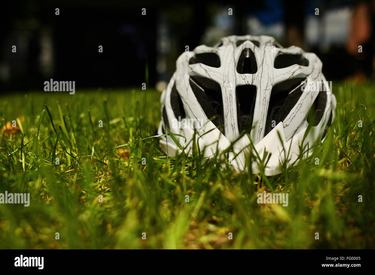 hjc cl-max ii flip up modular helmet C91 JYN COLOR:Black/Silver Osprey Migration Explained - Projects