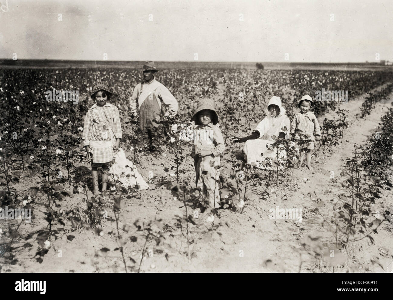 HINE: COTTON PICKING, 1916. /nThe Walker family picking cotton in Geronimo, Oklahoma. Photograph by Lewis Hine, October 1916. Stock Photo