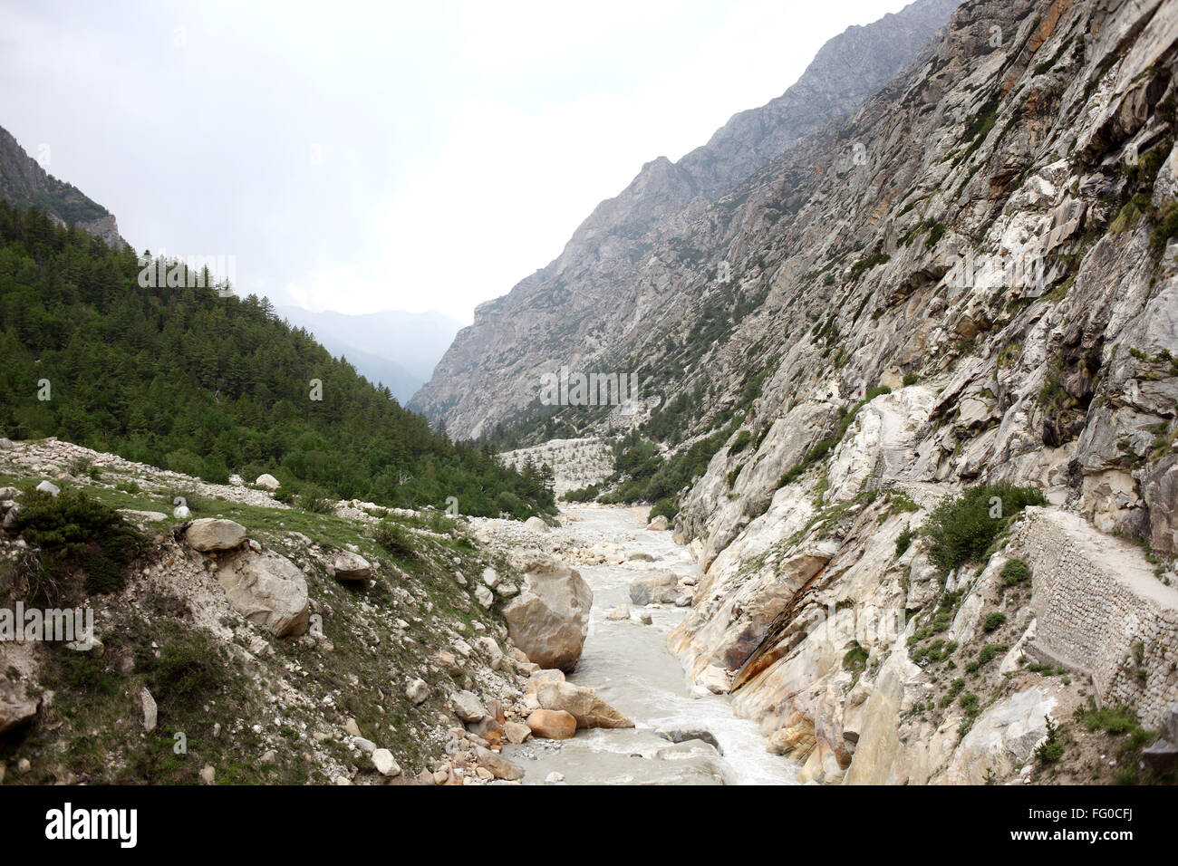 Bhagirathi river flowing Gangotri Uttarakhand India  Asia Stock Photo