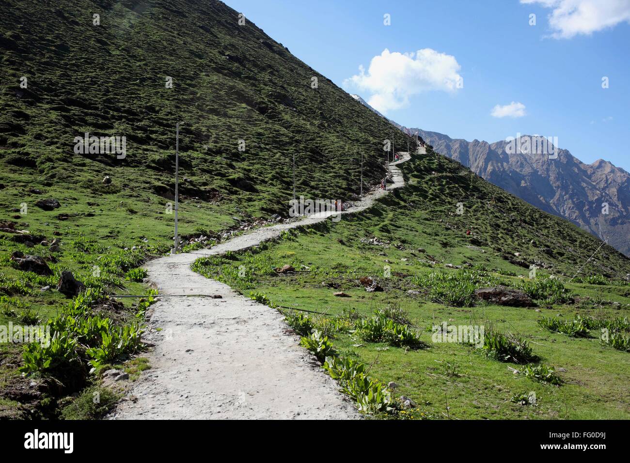 Steep steps on mountain path to the green alpine valley
