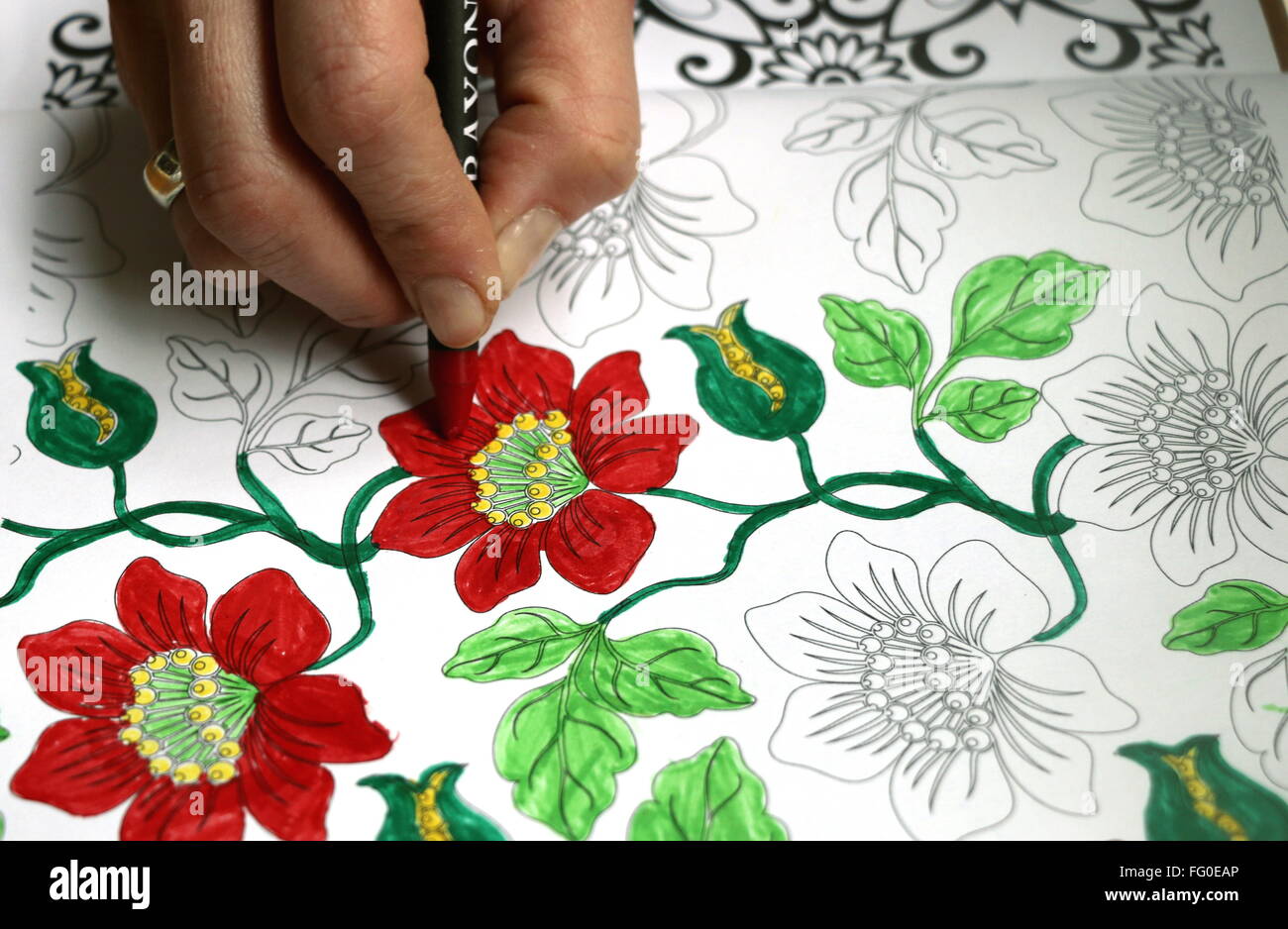 Woman's hand doing adult coloring of floral design, red and green, practicing stress management. Stock Photo