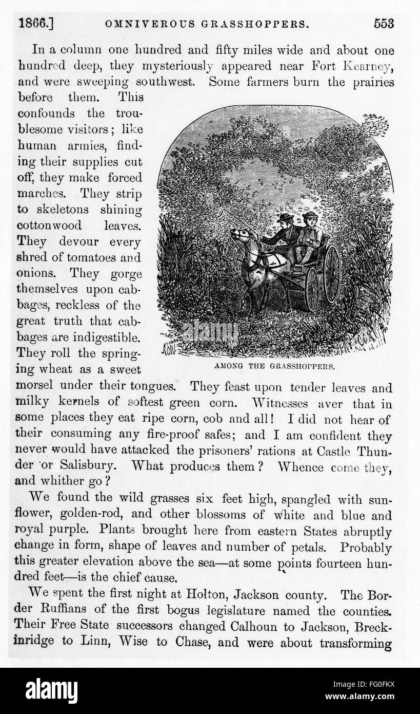 GRASSHOPPER PLAGUE, c1866. /nA description of the grasshopper plague in Kansas during the 1860s. /nText and engraving from 'Beyond the Mississippi' by Albert D. Richardson, 1869. Stock Photo