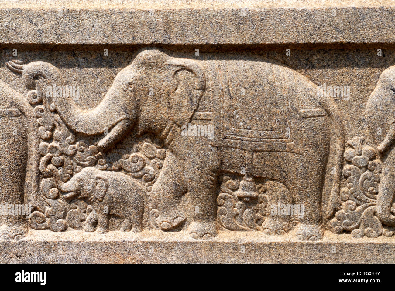 Elephant walking with calf relief stone carving on wall of Swami Vivekananda Rock Memorial Mandapam Kanyakumari Tamil Nadu Stock Photo