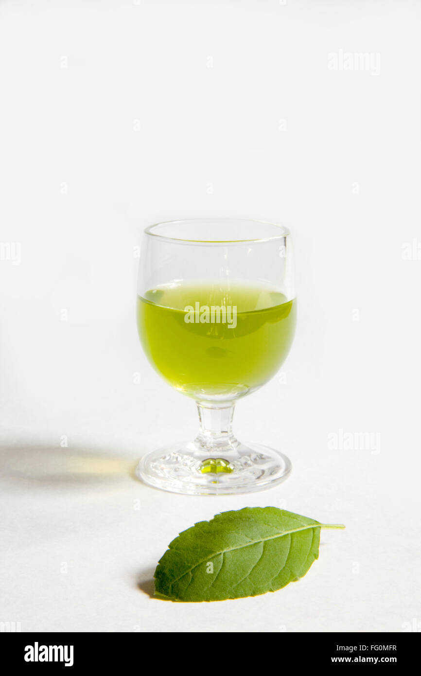 Ocimum sanctum holy basil hires stock photography and images Alamy