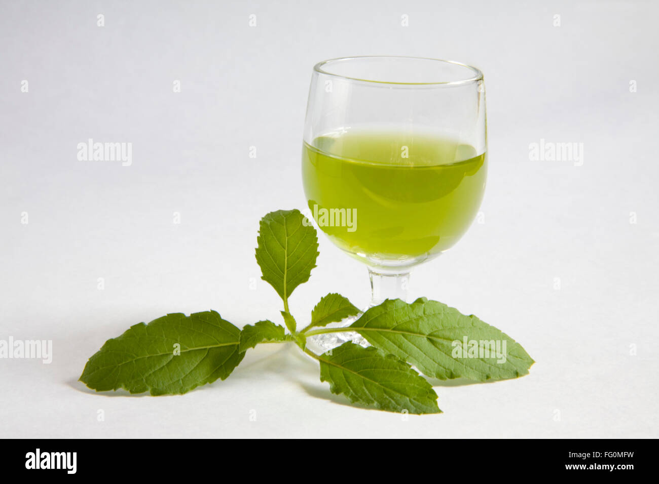 Drink , Holy Basil Tulsi leaves Ocimum sanctum with glass of juice