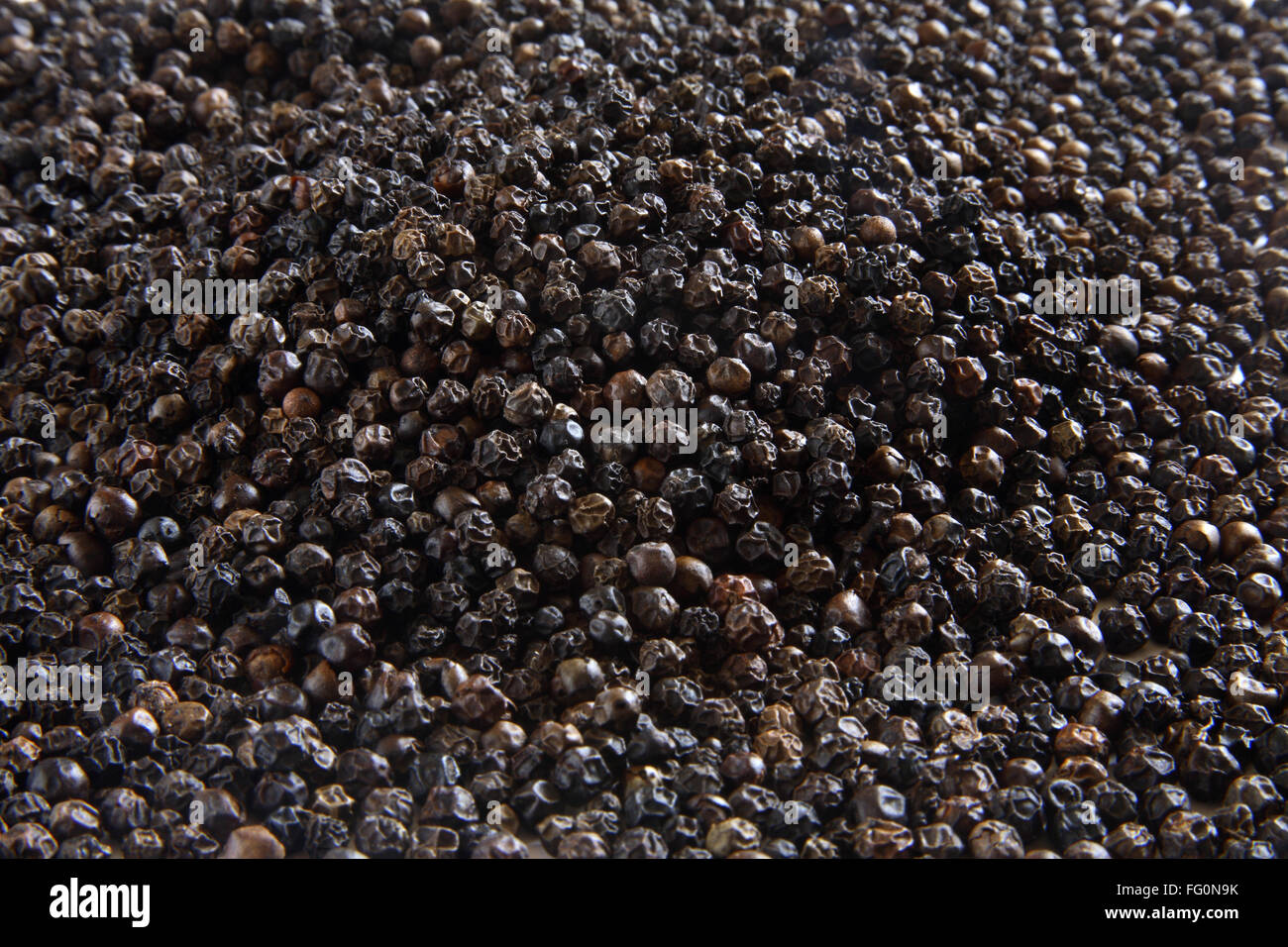 Spices , black pepper kali mirch piper nigrum piper longum Stock Photo
