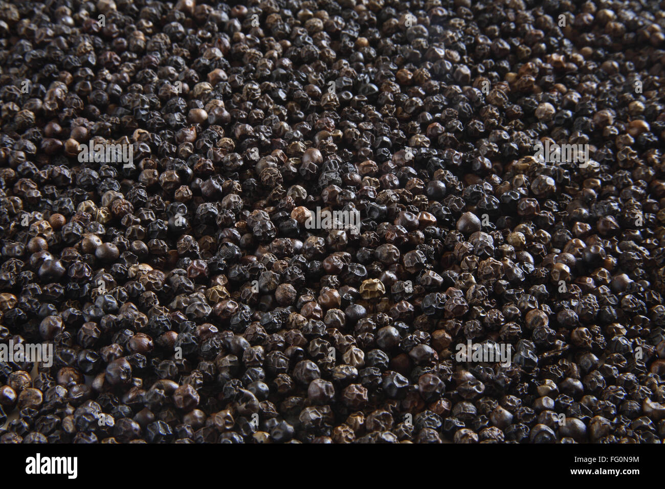 Spices , black pepper kali mirch piper nigrum piper longum Stock Photo