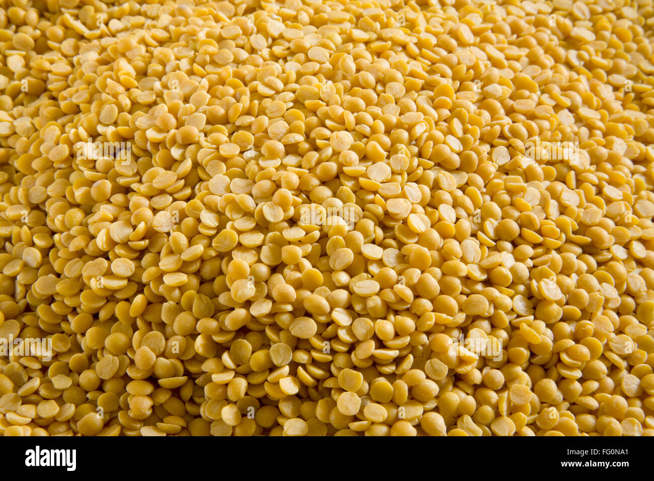 Pulses , split yellow lentils toor arhar dal lens culinaris Stock Photo