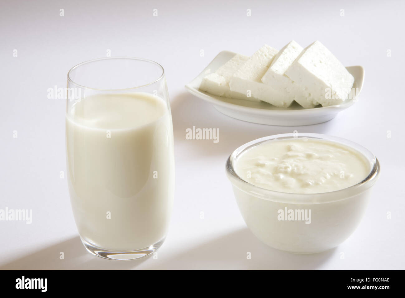Milk Curd Yogurt Dahi Cottage Cheese Paneer Home Or Dairy Product