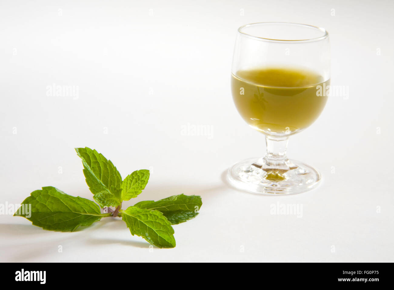 Pudina ka juice hot sale