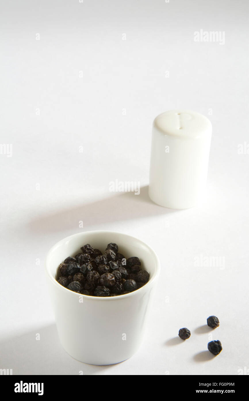 Spices dry black peppercorns kali mirch piper nigrum piper longum with shaker Stock Photo