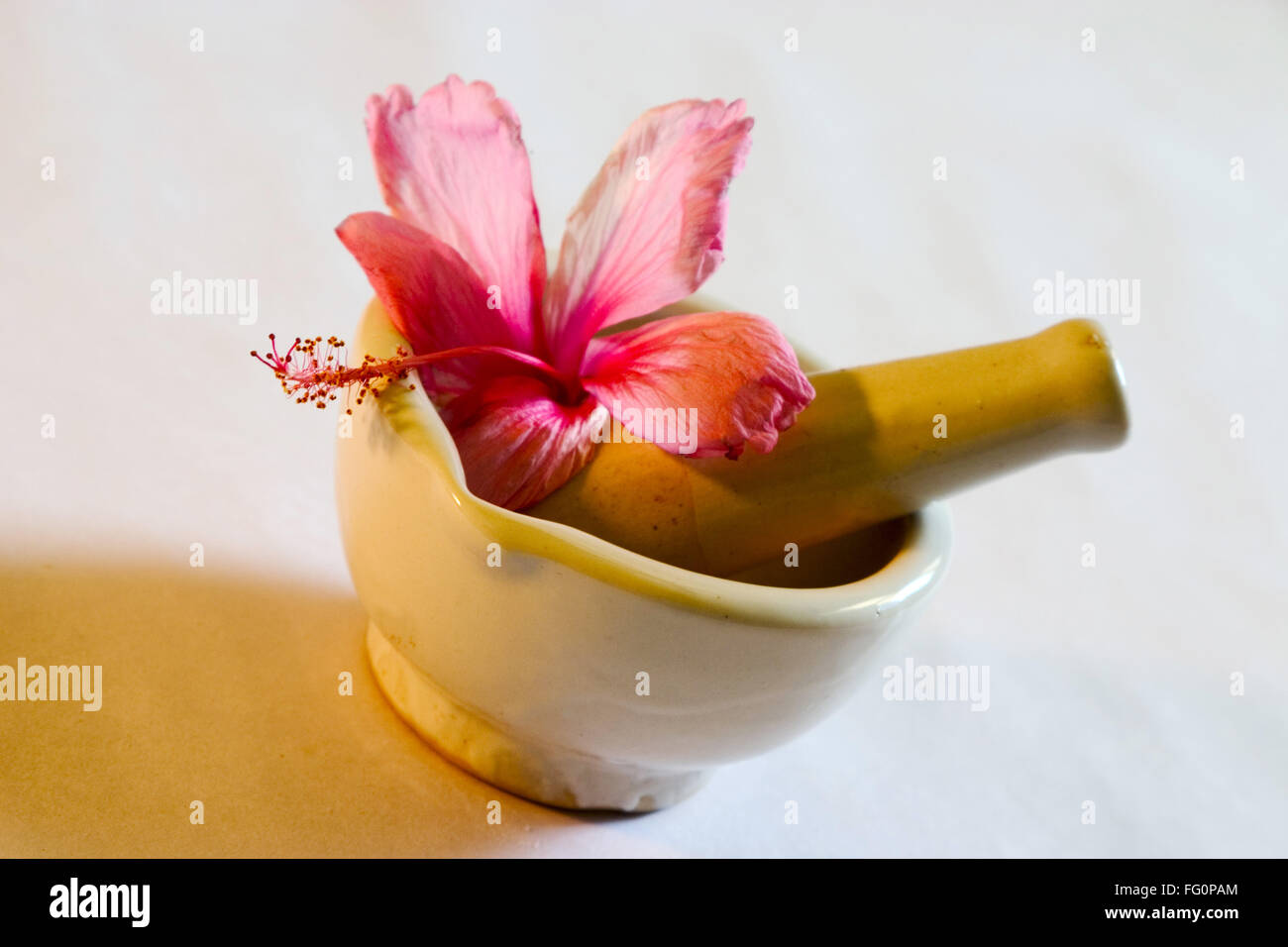 Manual grinder and shoe flower Hibiscus color pink used for Ayurvedic