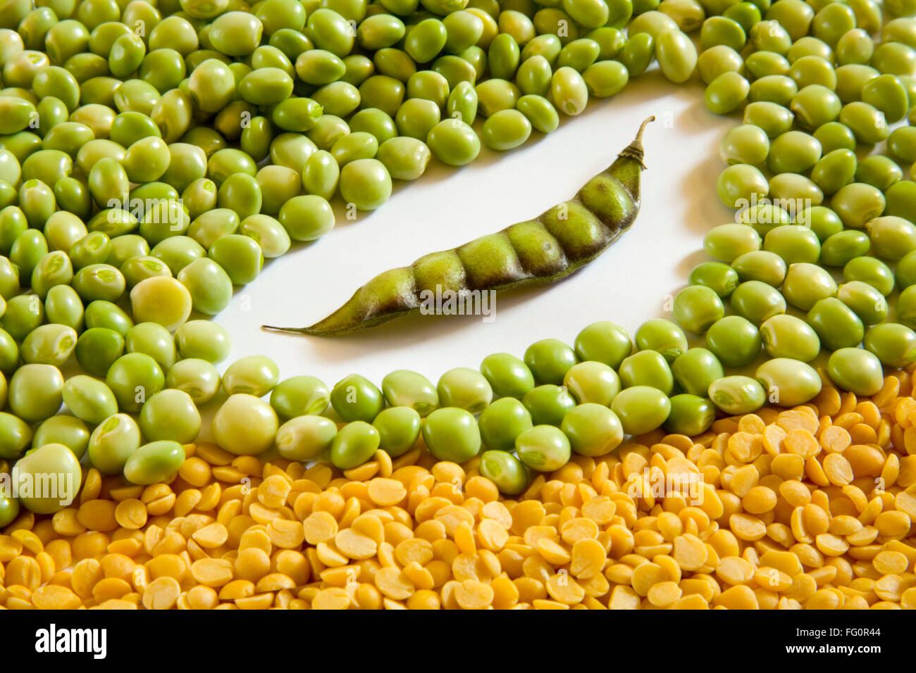 Grain , fresh green and yellow split lentils toor arhar dal lens culinaris with peapod Stock Photo