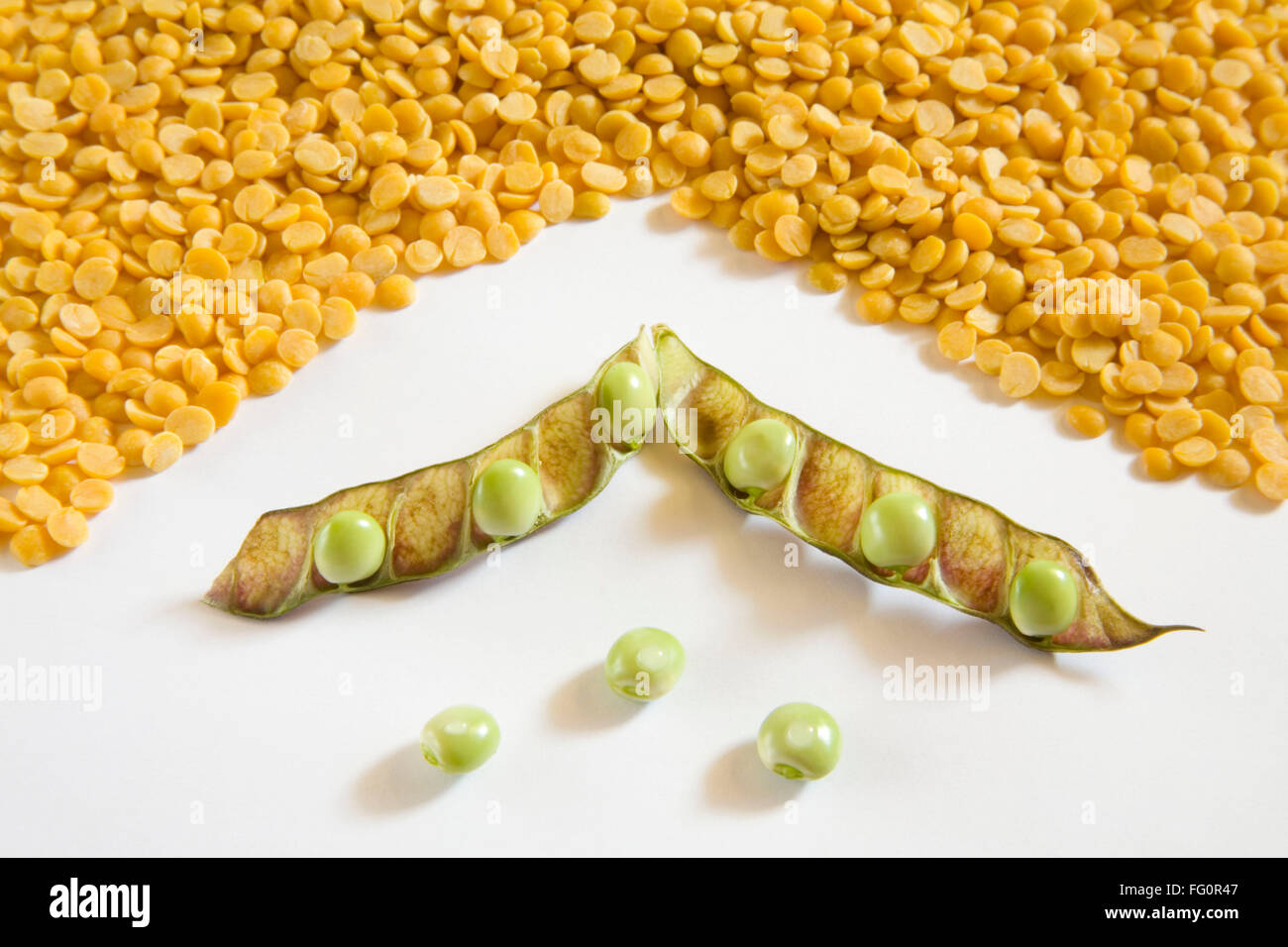 Grain , fresh green and yellow split lentils toor arhar dal lens culinaris with open peapod Stock Photo