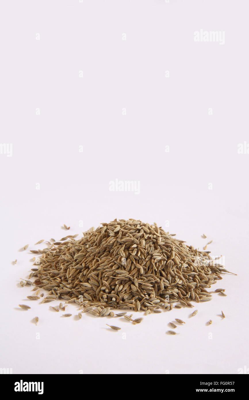 Indian spice , Cumin seeds Jeera Cuminum cyminum on white background