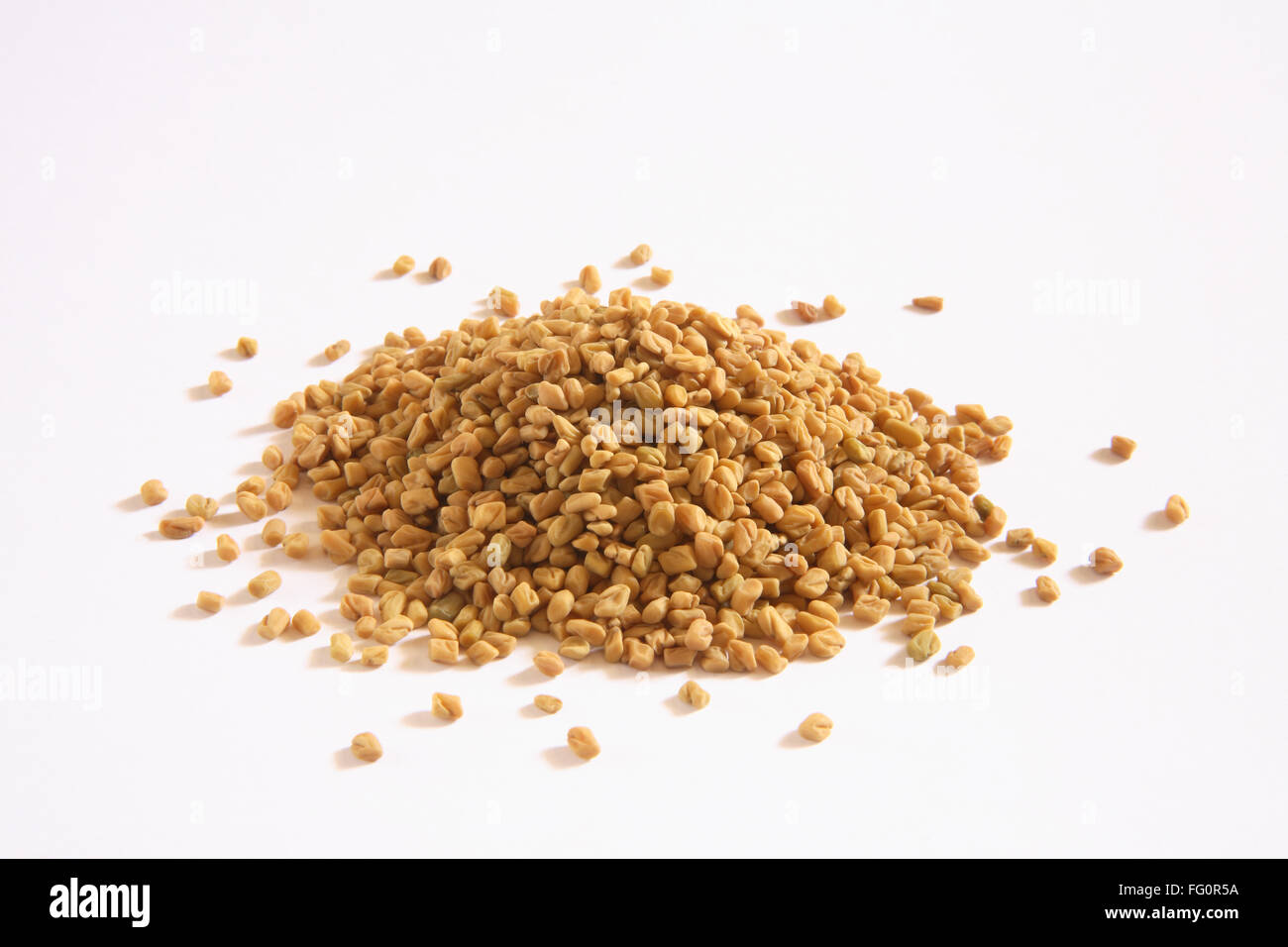 Indian spice , Fenugreek seeds Methi Trigonella foenum graecum on white background Stock Photo