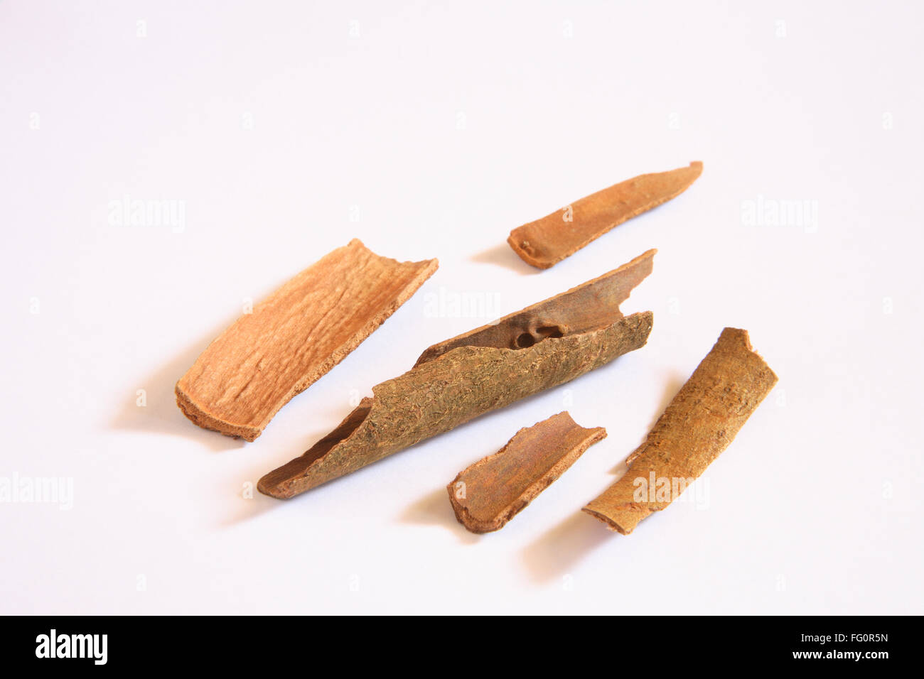 Spice , Cassia Jungli Dalchini Cinnamomum cassia on white background Stock Photo