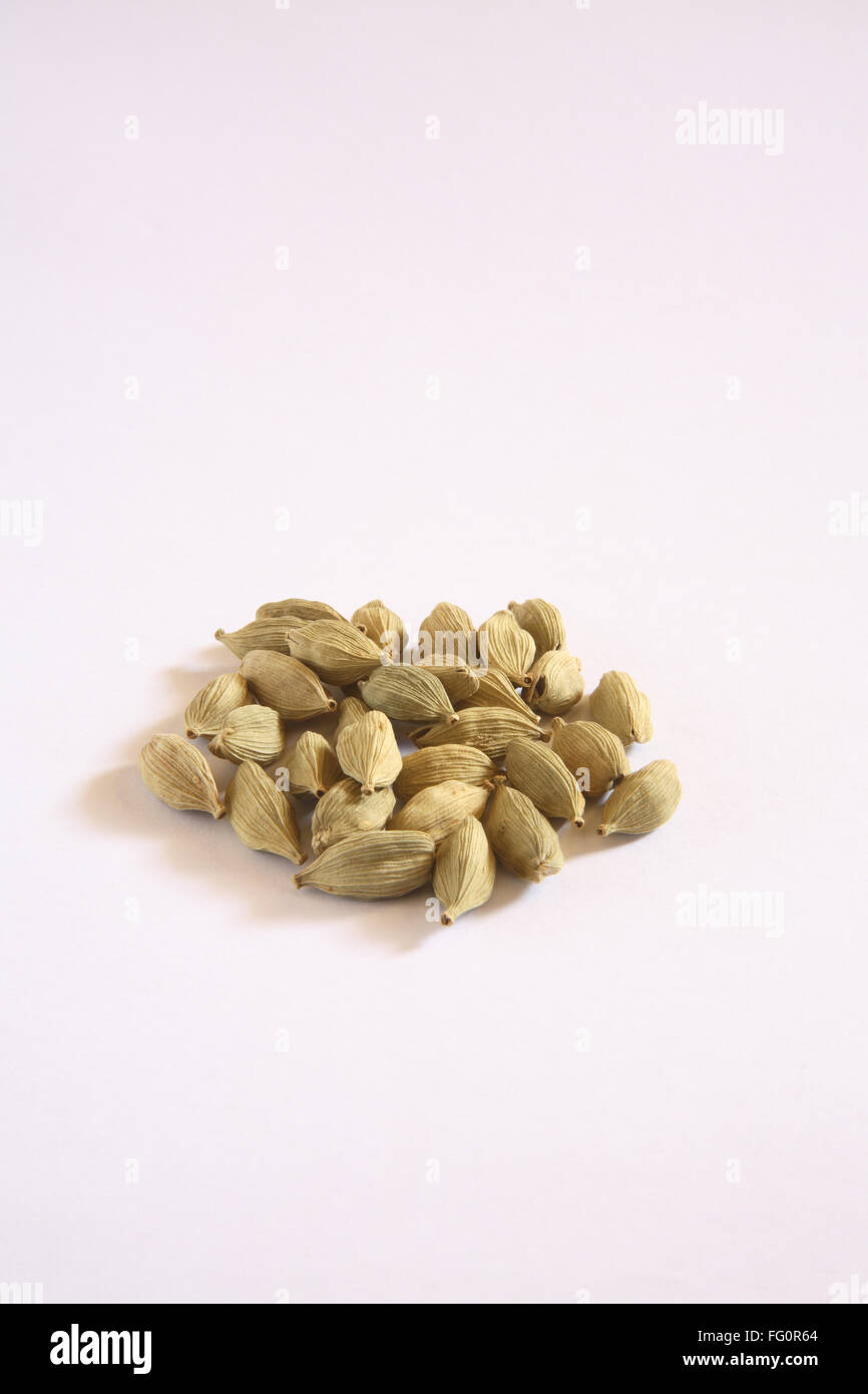 Indian spice , bleached green Cardamom pods Elaichi Elettaria cardamom on white background Stock Photo