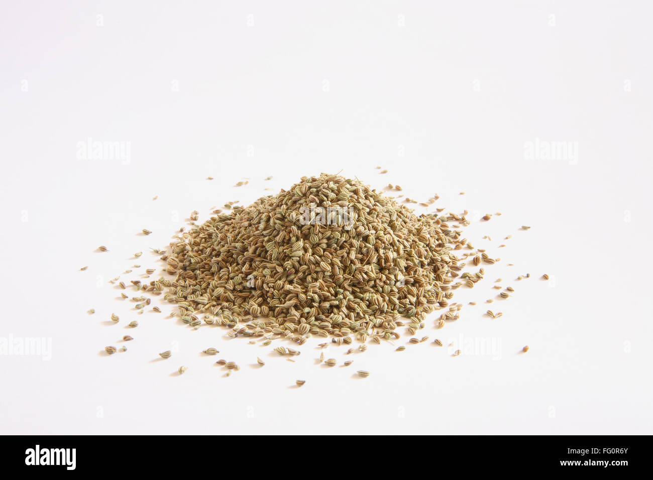 Indian spice , Ajowan Ajwain Trachysrermum ammi Carum ajowan Carum