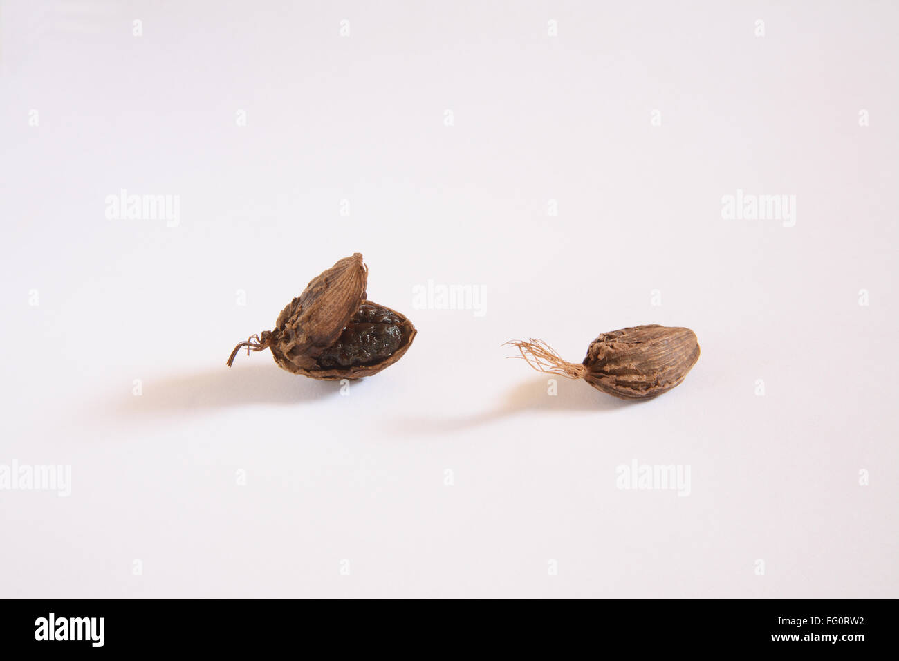 Indian spice , brown Cardamom pods Elaichi Elettaria cardamom on white background Stock Photo