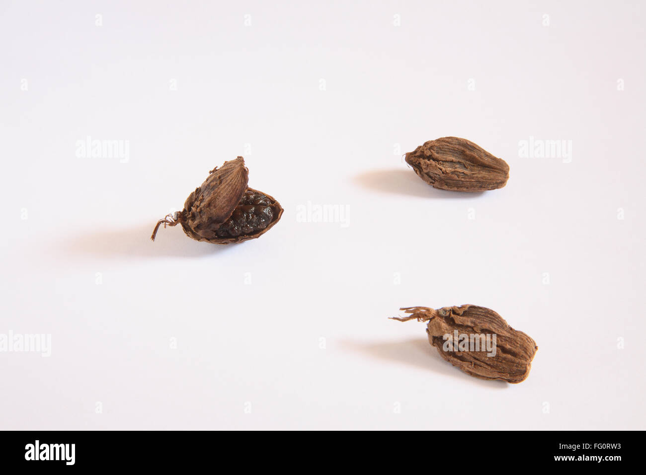 Indian spice , brown Cardamom pods Elaichi Elettaria cardamom on white background Stock Photo