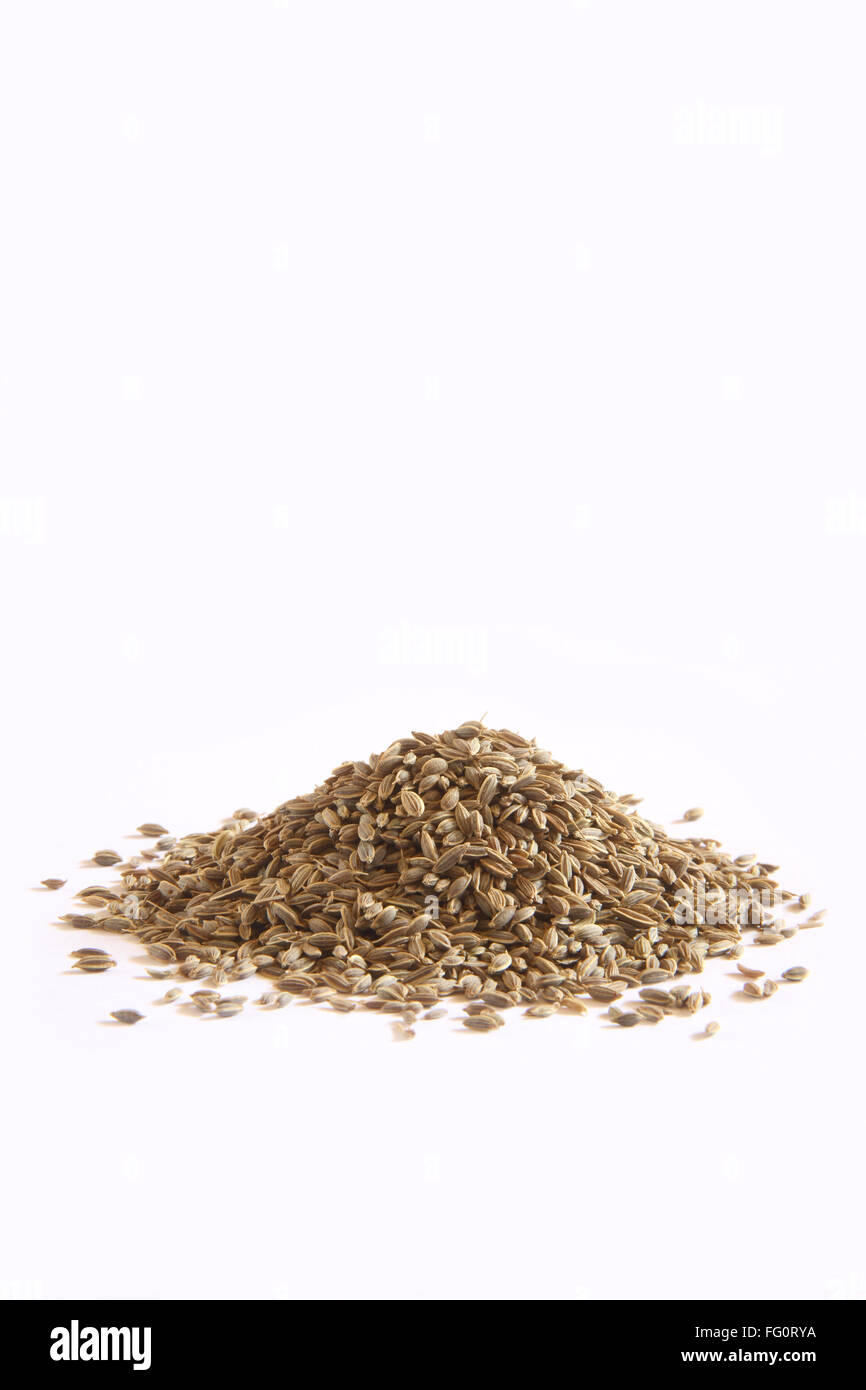 Indian spice , Dill Sowa Anethum sowa on white background Stock Photo ...