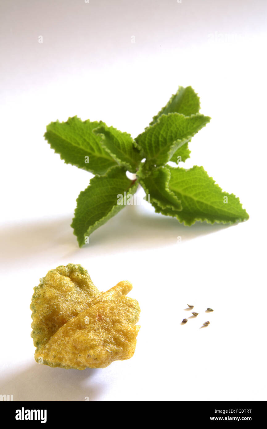 Indian cuisine , fast food starters Ajwain Ke Patte Ka Pakoda crispy