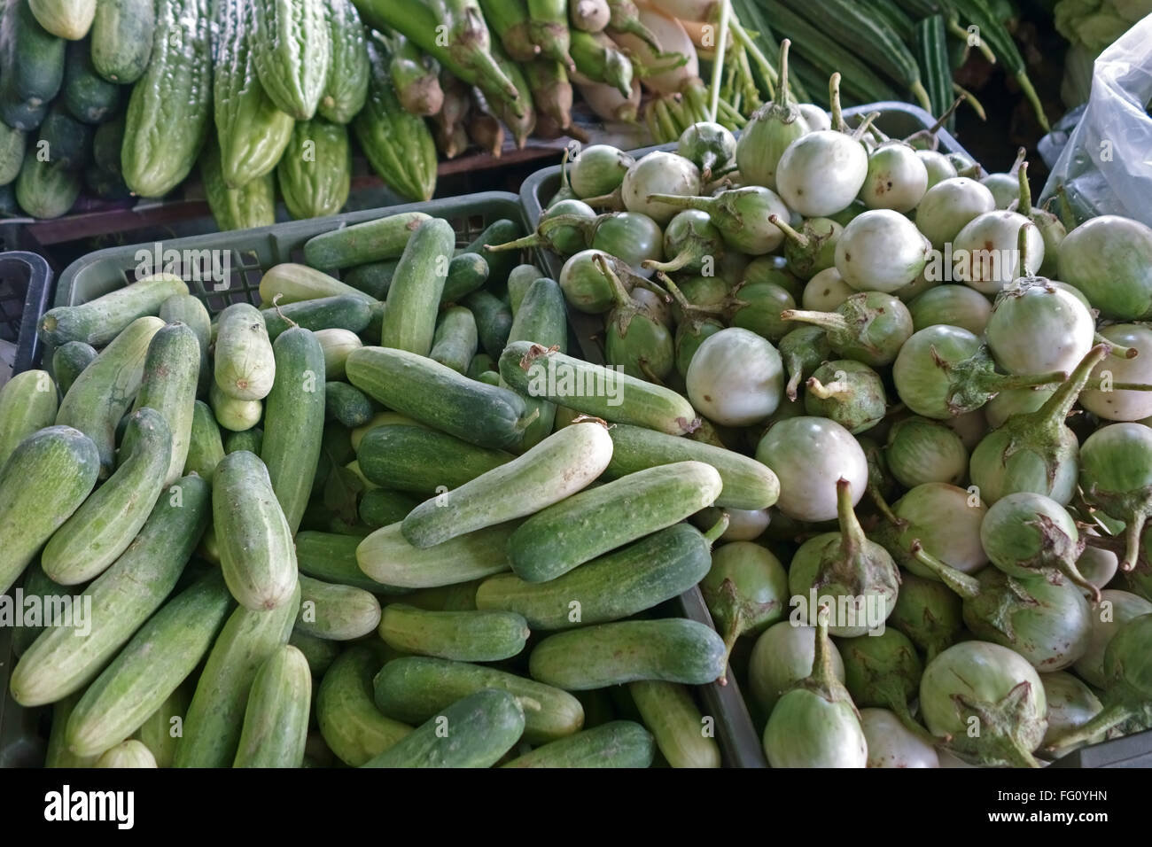 Thai eggplant fruit or Makhuea pra aubergines and oriental cucumbers on a vegetable stall in Bangkok, Thailand Stock Photo