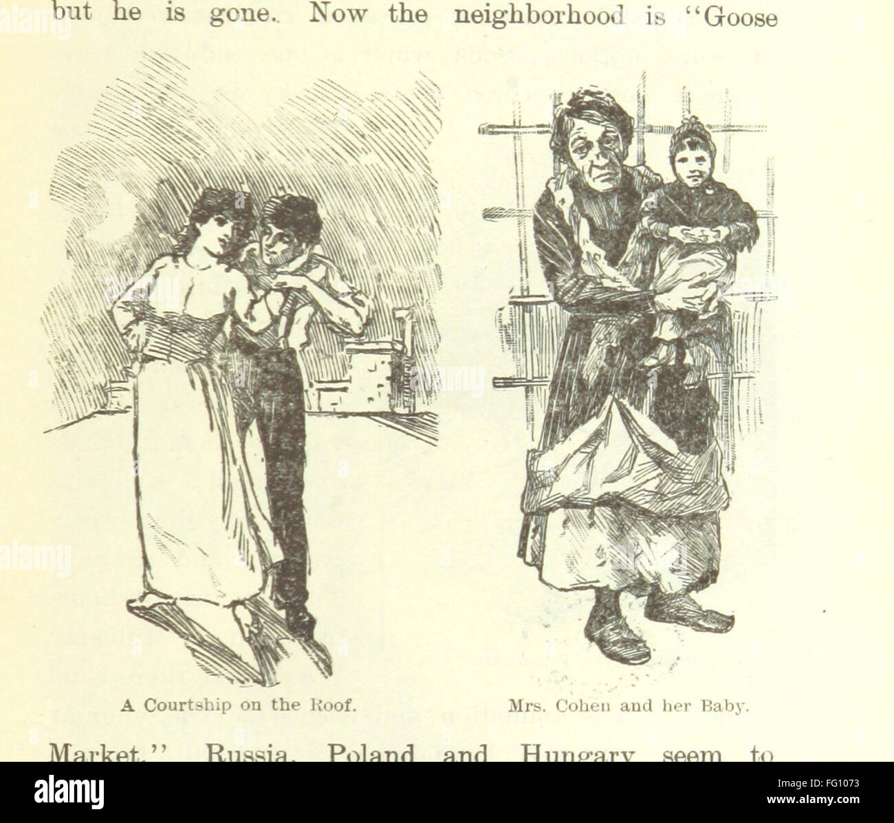 This vintage book explores the history and evolution of New York City ...