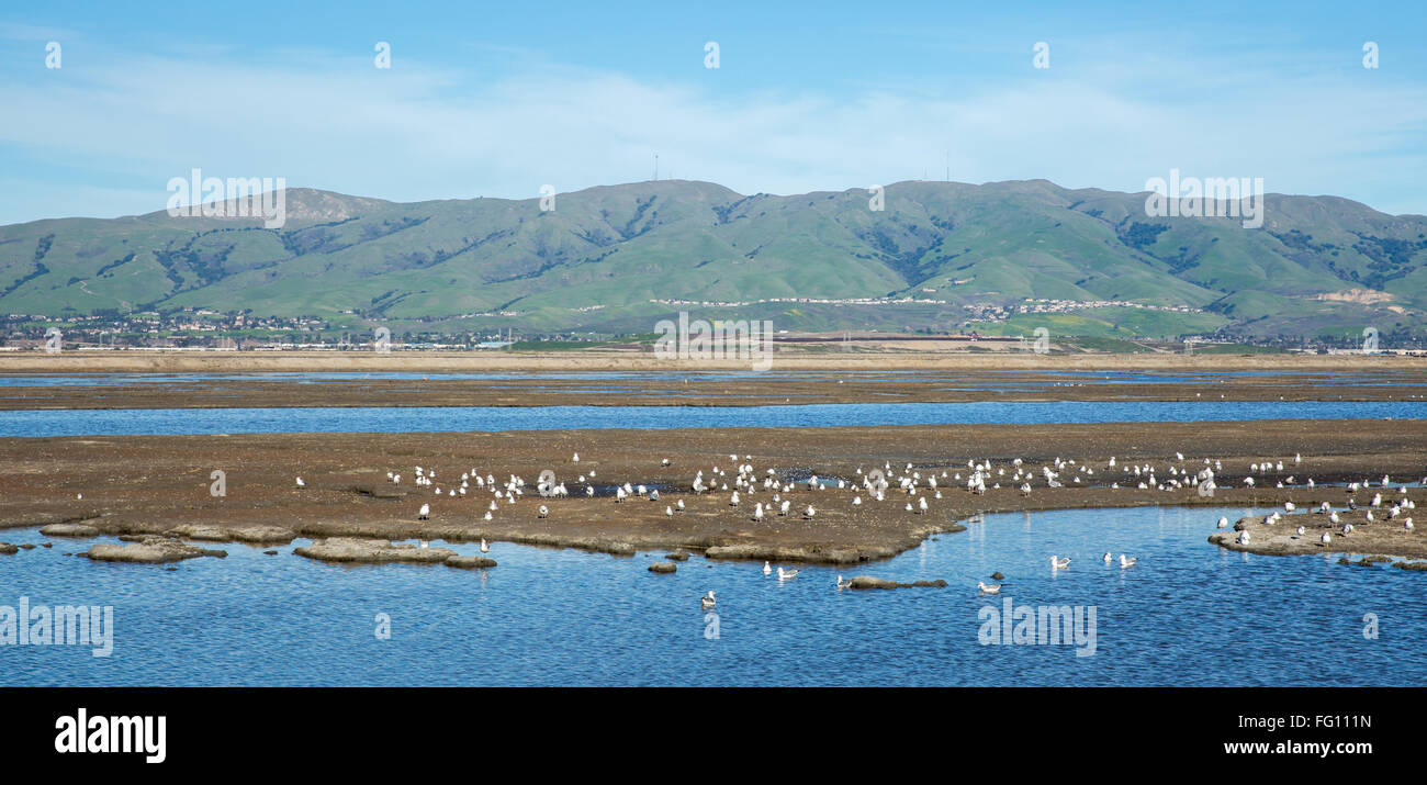San Francisco South and East Bay Landscape, Northern California Stock Photo