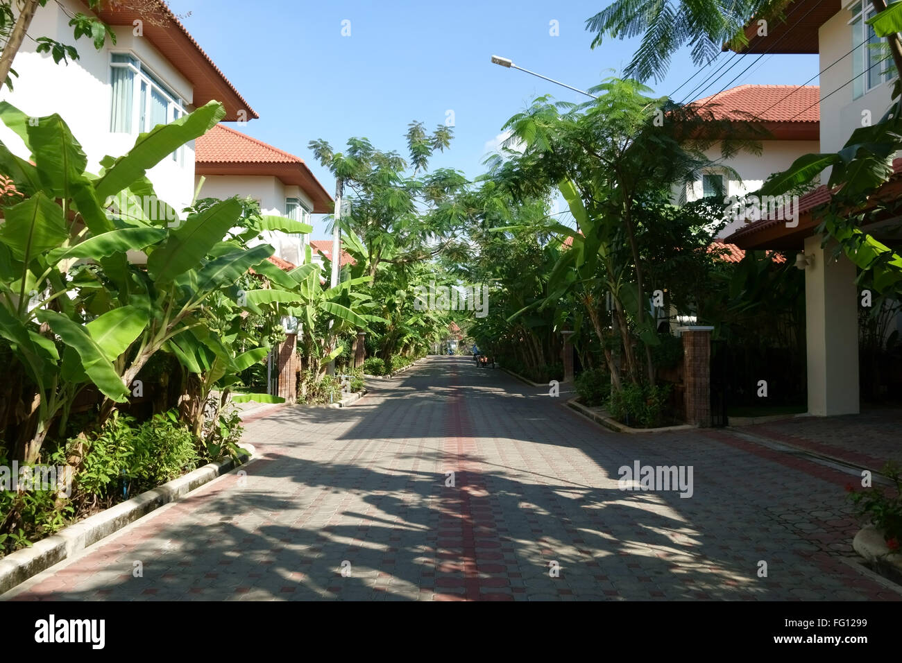 A residential street near the Samakee Road in Pakkret, Northern Bangkok suburbs with bananas and other plantsblue Stock Photo