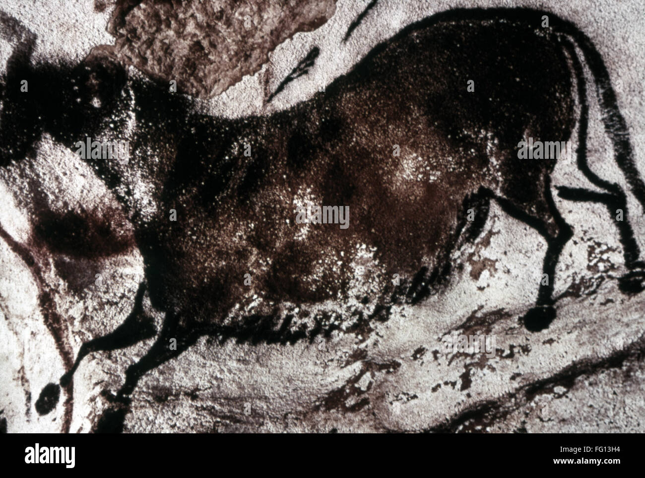 CAVE ART LASCAUX. /nRunning horse from the Cave of Lascaux in