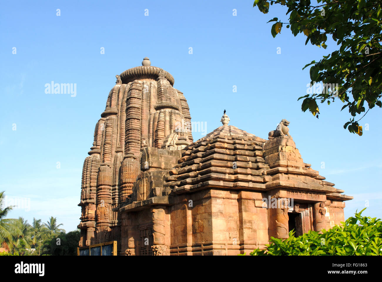 Raja Rani temple of red gold sandstone , Bhubaneswar , Orissa , India ...