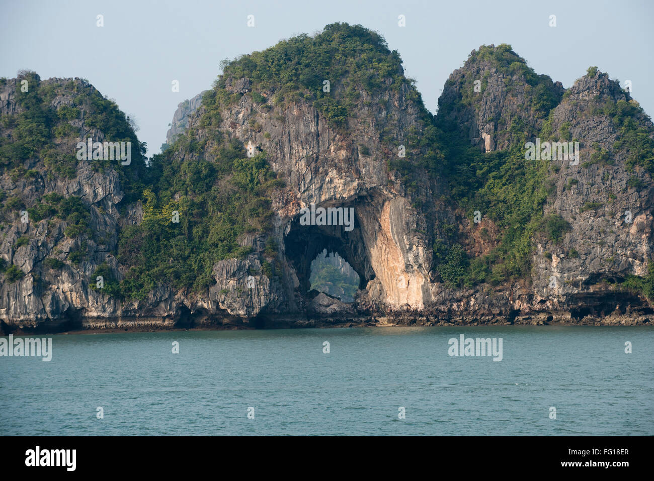 Small limestone karst, the remainder of an island rising out of the sea in Halong Bay with a tree at the top Stock Photo