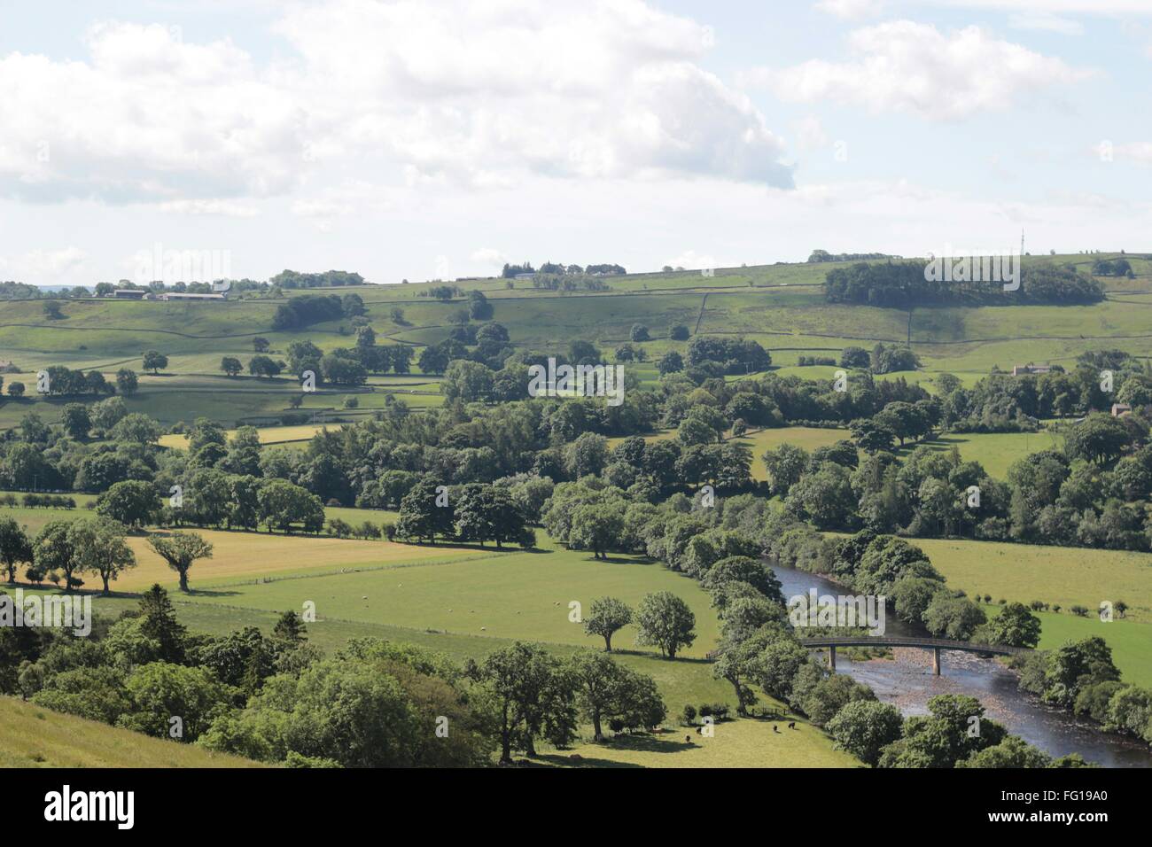 Idyllic shot of green landscape against sky in Teesdale Stock Photo
