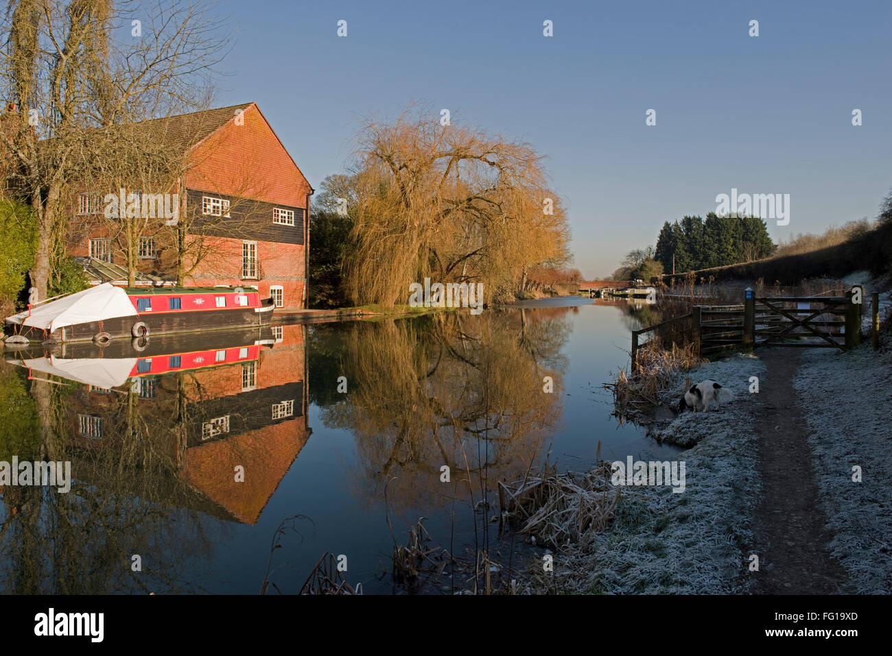 Kennet and Avon Canal on Hungerford Common with frost, tree, mill and narrow boat reflections in the still water Stock Photo