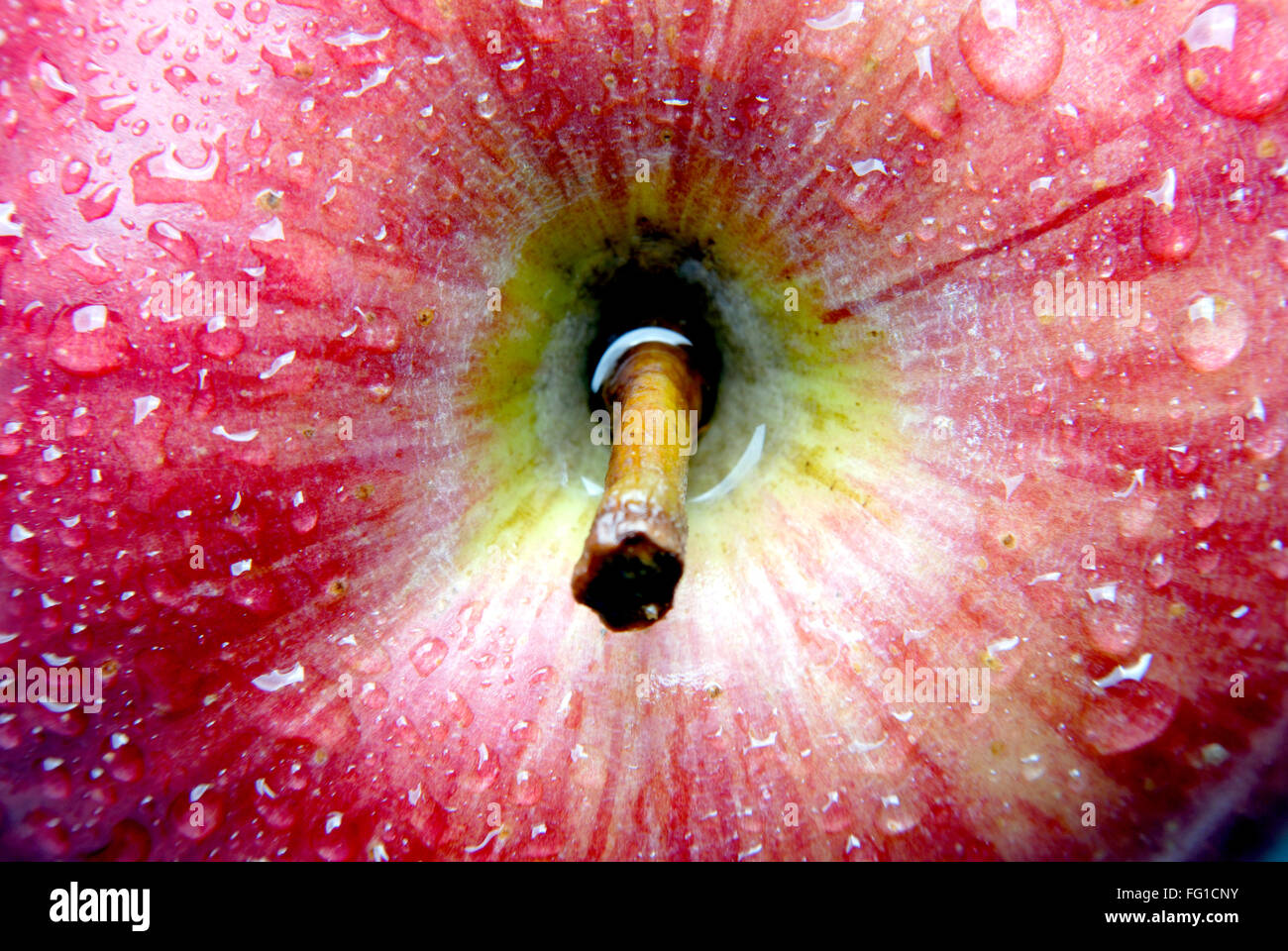 Fruits , fresh apple with cold water drops Stock Photo Alamy