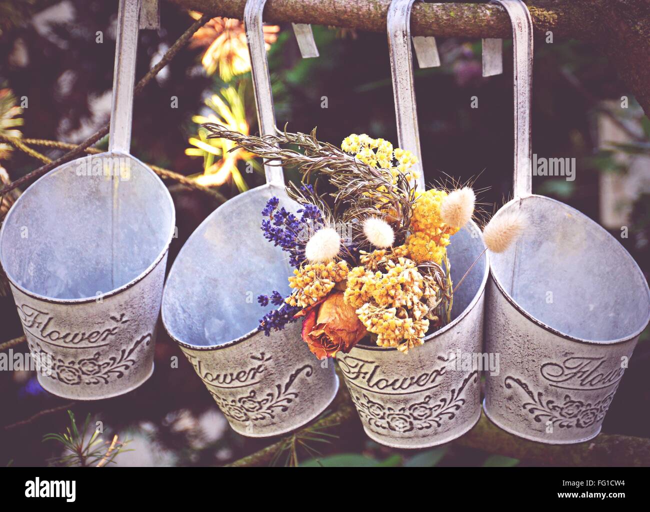 Flower Pots Hanging In Garden Stock Photo Alamy